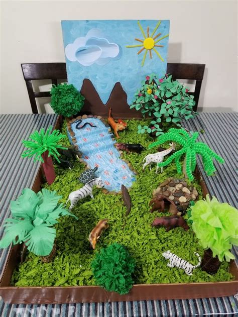 My 8 Year Old Daughters Project About Forest Habitat Habitats