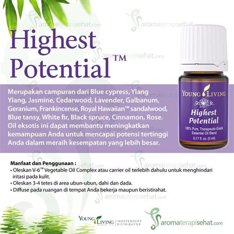 I validate my inner child`s thoughts and feelings. Highest Potential Essential Oil | Inner child, Minyak ...