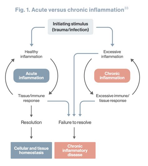 Chronic Inflammation The Important Role Of Resolution Fx Medicine