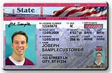 Sample Illinois Drivers License Pictures