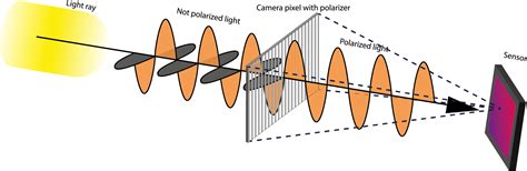 Polarization camera whitepaper explains how polarization filters work