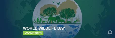 World Wildlife Day 2020 Sustaining All Life On Earth Developmentaid