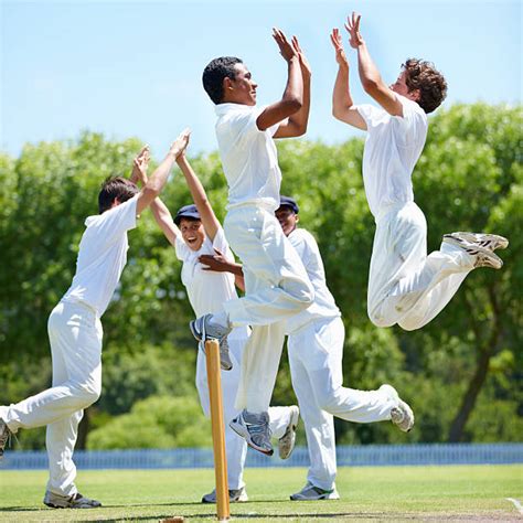 2200 Cricket Celebration Stock Photos Pictures And Royalty Free Images