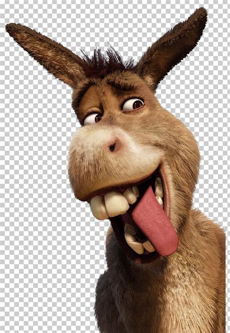 Donkey Princess Fiona Shrek The Musical Youtube Lord