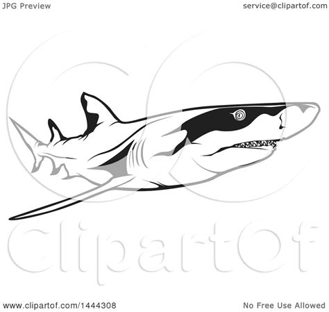 Clipart Of A Black And White Swimming Lemon Shark Royalty Free Vector