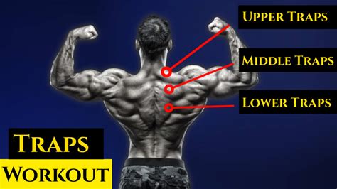 20 Best Trap Exercises For Mass And Strength With Workout Plan