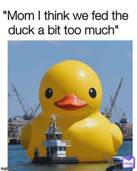 giant rubber duck imgflip