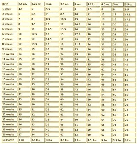 How old is your cat in human years. kitten growth chart in pounds | Puppy Weight Growth Chart ...