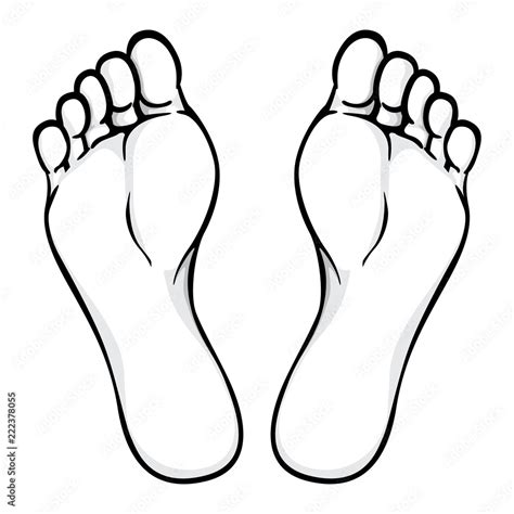 Illustration Of Body Part Plant Or Sole Of Foot Black White Ideal