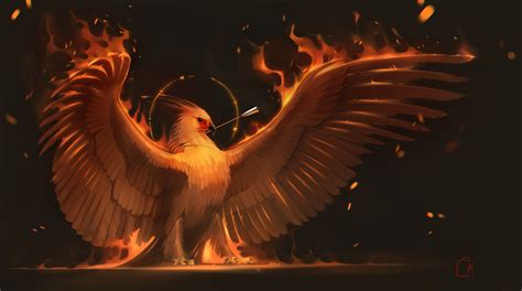 Phoenix Hd Artist 4k Wallpapers Images Backgrounds Photos And Pictures