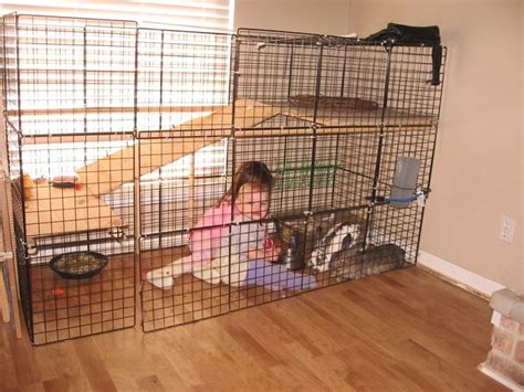 It can be raised 17 inches off the ground to allow the bottom's solid platform to drop down far enough so it is easy to clean. Bunny Rabbit Cages Indoor | Diy bunny cage, Bunny cages ...