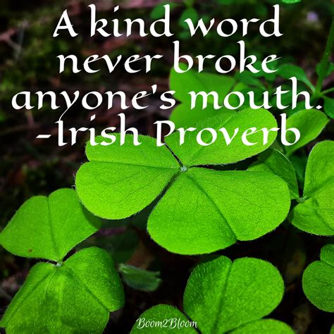 Famous Irish Motivational Quotes Guwqzo