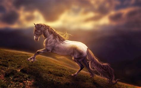 Horse 4k Wallpapers Top Free Horse 4k Backgrounds Wallpaperaccess