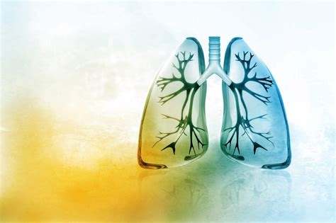 Lungs Energy Medicine
