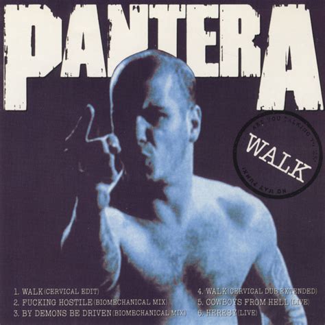Pantera Discografia Completa Mega 320kbps Discográfias Del Punk