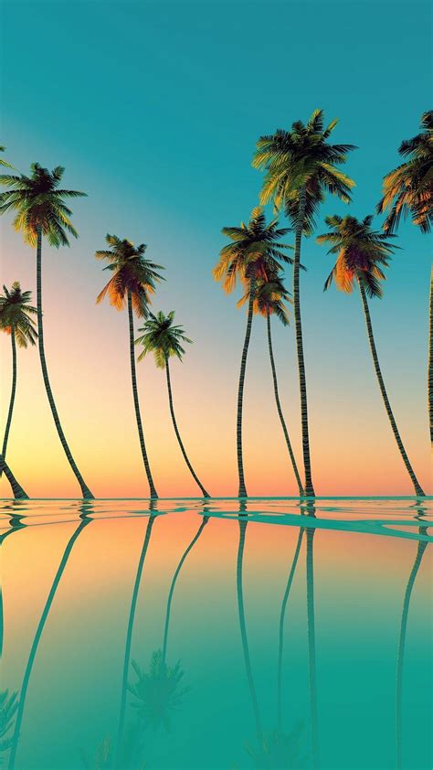 California Palm Trees Wallpapers Top Free California Palm Trees