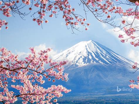 富士，樱花，川口湖，2020，bing，台式预览