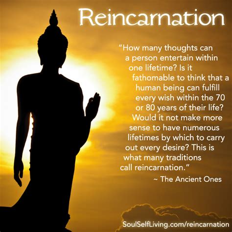 Soul Self Living Reincarnation
