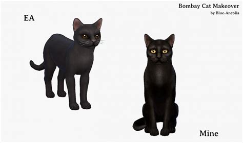 Bombay Cat Makeover At Blue Ancolia Sims 4 Updates