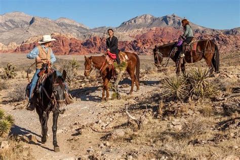 Tripadvisor 2 Hour Horseback Riding Through Red Rock Canyon Provided