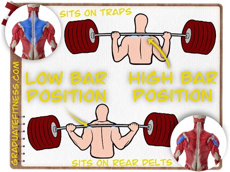 The Barbell Back Squat Form Muscles And Main Benefits Graduate Fitness