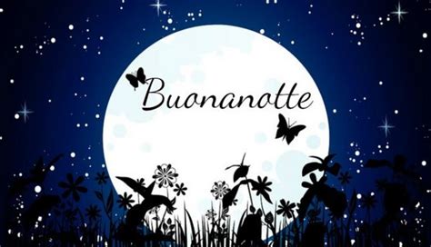 How to say it › italian › good evening in italian. How to Say "Good Night" in Italian
