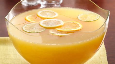 Tangy Citrus Punch Recipe