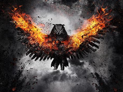 Download Owl Bird Fire Wings Flap Png Free Png Images Toppng