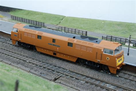 Heljan 5203 Western Champion Class 52 Oo Gauge Locomotive No D1015