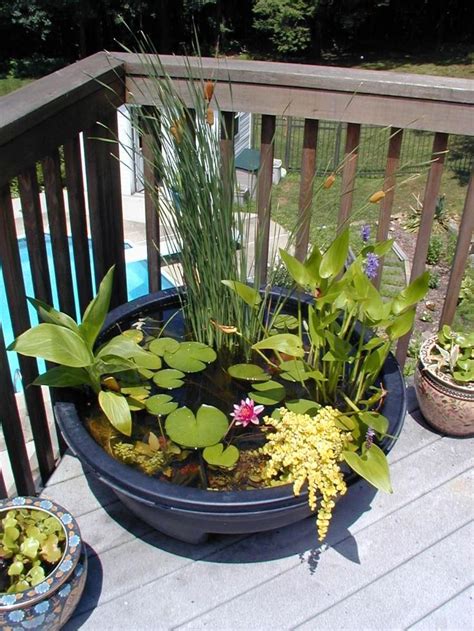 Making A Pond In A Pot Container Water Gardens Water Features In The