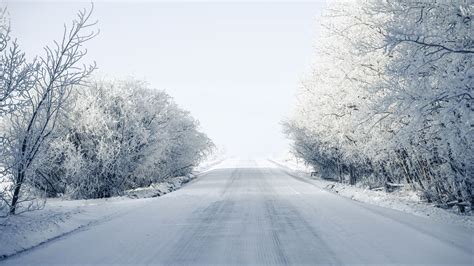 Trees Road Snow Winter 4k Hd Wallpaper