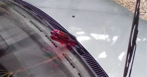 Maybe you would like to learn more about one of these? Pelik Tetapi Benar - Petua Khas Untuk Elakkan Kucing Naik ...