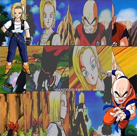 Dragon Ball Z Cell Saga Fan Art Android 18 And Krillin Krillin And 18 Krillin Android 18 And