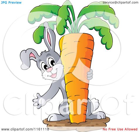 Cartoon Of A Rabbit Pulling A Giant Carrot Royalty Free Vector