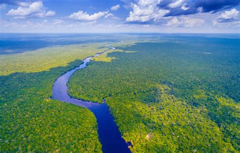 Amazonija 5 Zanimljivosti Koje Bi Svatko Trebao Znati