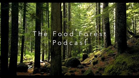 What Is A Food Forest Or Forest Garden Youtube