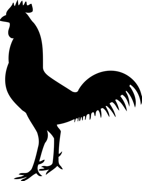 Gamecock Silhouette At Getdrawings Free Download