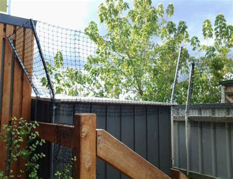 Cat Proof Fencing Cat Enclosures