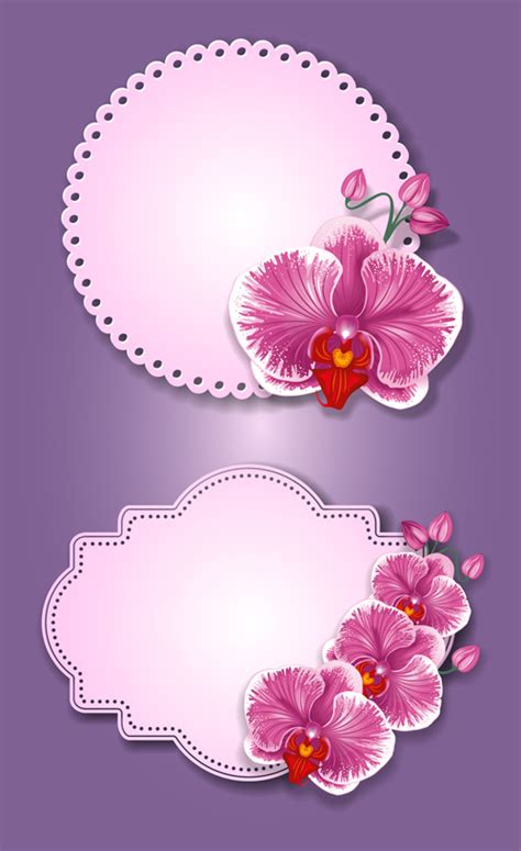 Flower And Labels Vector 05 Free Download