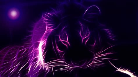 Purple Neon Led Tiger Tiger Hd Wallpaper Wallpaper Flare