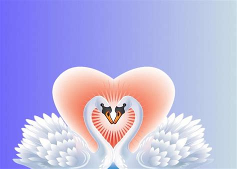 Couple Swans Collage Abstract Swans Love Hd Wallpaper Peakpx