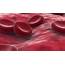 Information On Blood Vessels  Sciencing