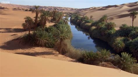 Sahara, largest desert in the world. Deadly Oasis In The Sahara Desert - YouTube