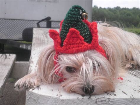 Crocheted Elf Hat For Dog Or Cat Santas Helper By Fancihorse Crochet
