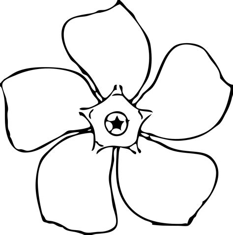 Free Pictures Of Flower Drawings Download Free Pictures Of Flower