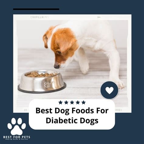 The 8 Best Dog Foods For Diabetic Dogs In 2023