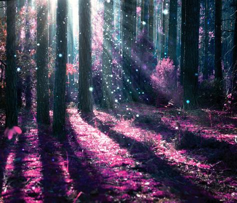 Enchanted Forest Wall Mural Purple Tree Photo Wallpaper Girls Bedroom