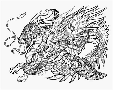 48 New Pictures Adult Coloring Page Transparent Background