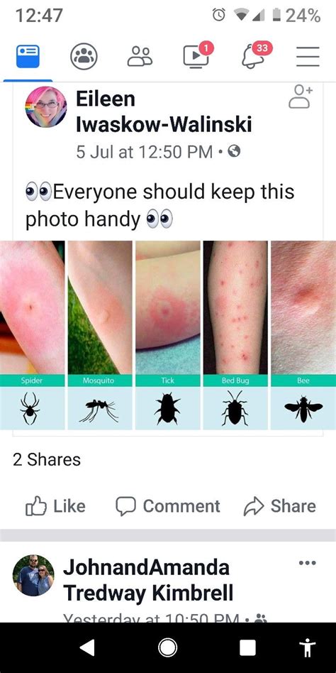 The More You Know How To Know Insect Bite Identification Types Of