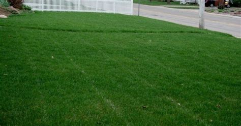 As Your Lawn Begins To Wake Up This Spring There Are Four Things You